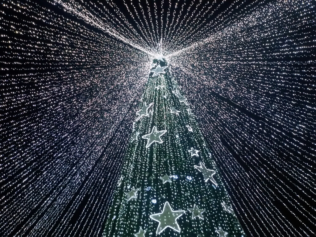 Christmas tree in Bogota