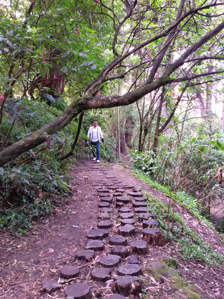 Bogota nature path