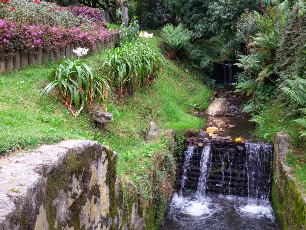 Bogota nature river and flowers