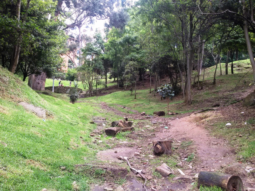 Bogota park rosales