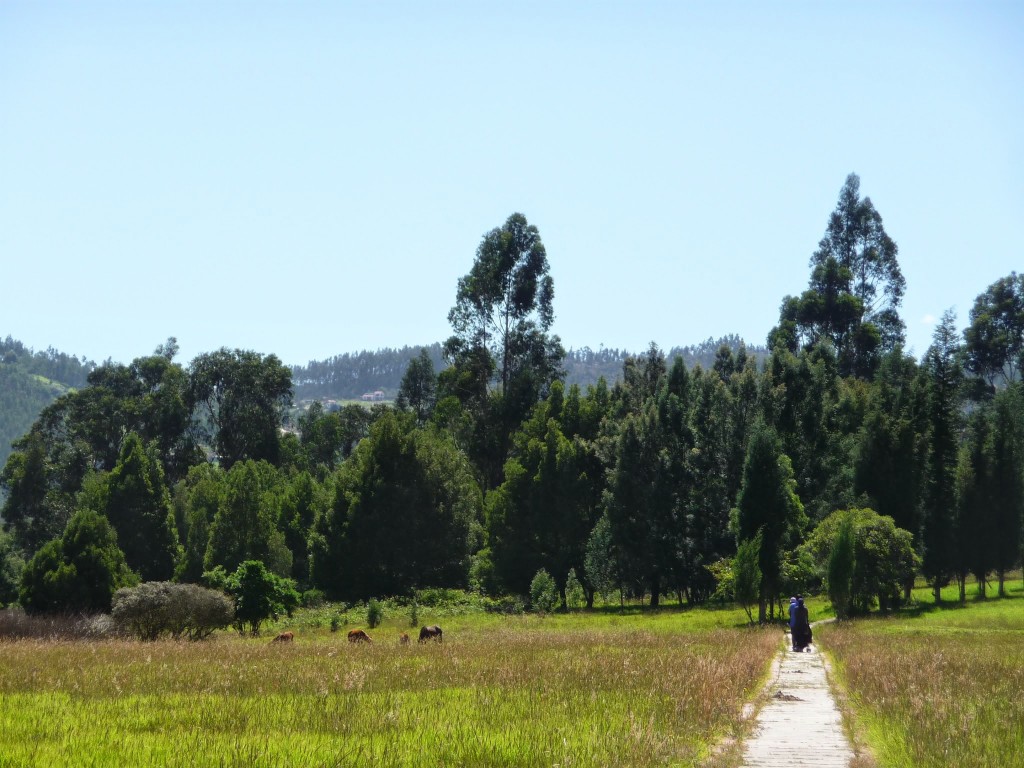 Hotel Estelar grounds