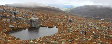 Sumapaz