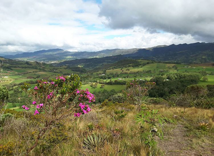 Guatavita view