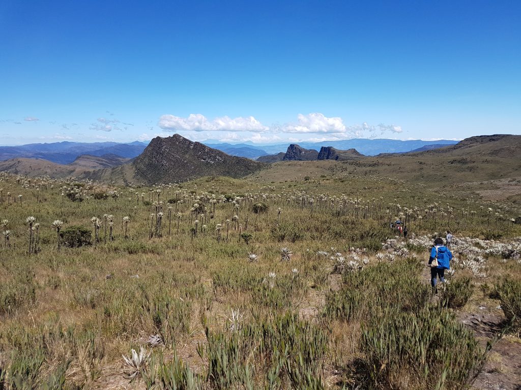 Chingaza National Park