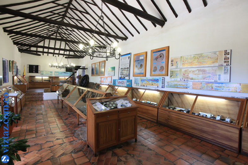 Museo Paleontologico Villa de Leyva