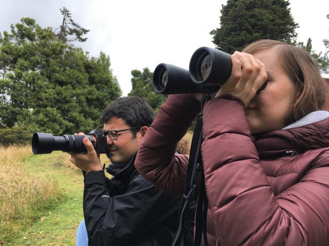 Observatorio de Colibries hummingbirds observatory Bogota